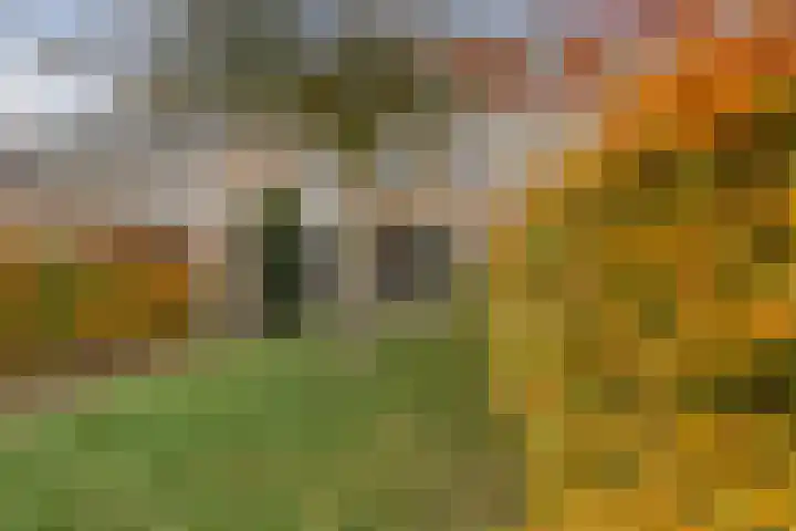 Johan Frisopark 74 Best thumbnail 6