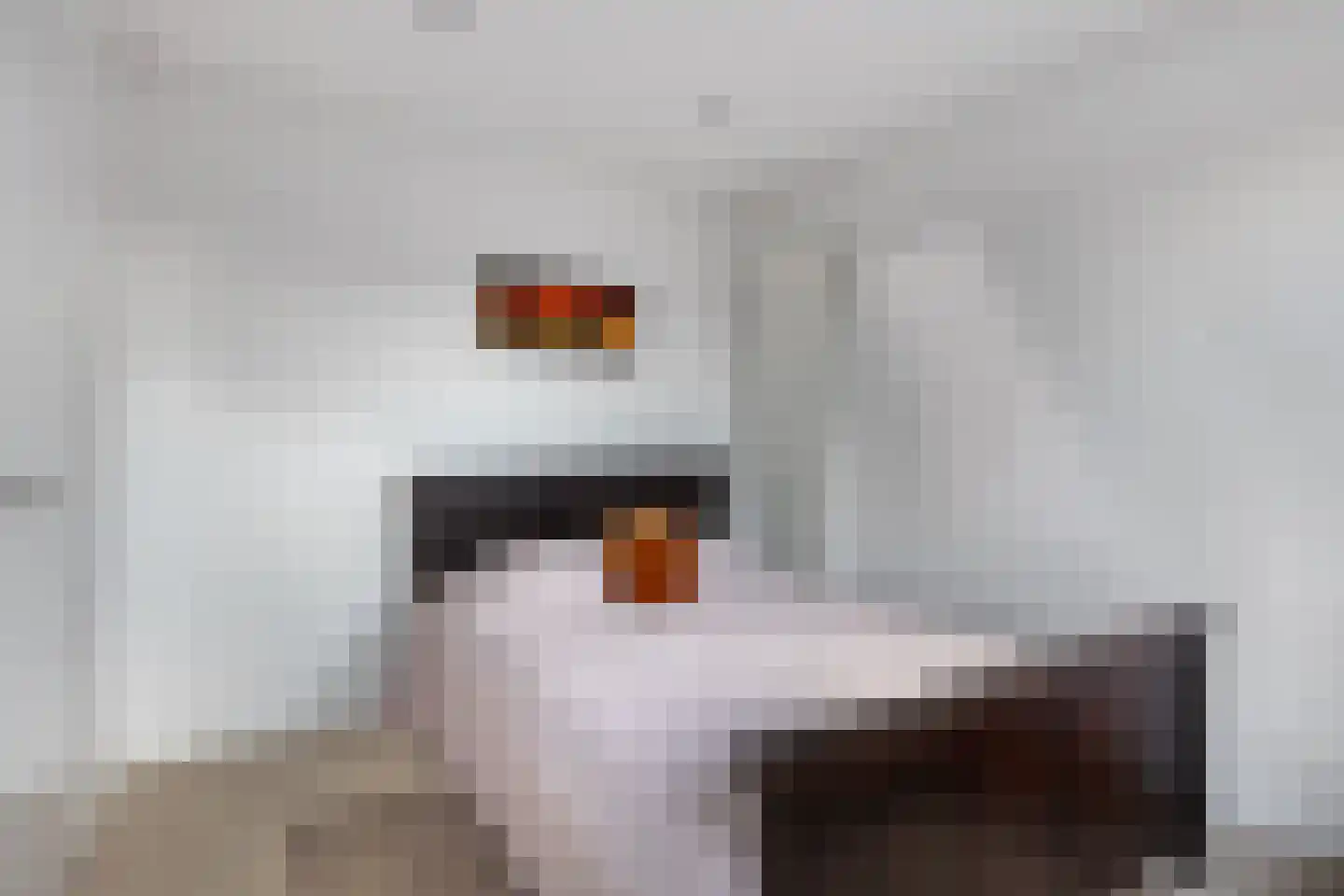 Johan Frisopark 81 Best thumbnail 40