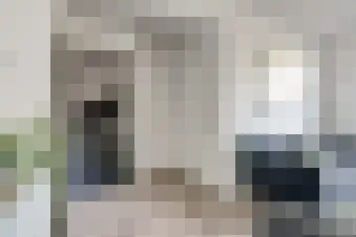 Johan Frisopark 84 Best thumbnail 10