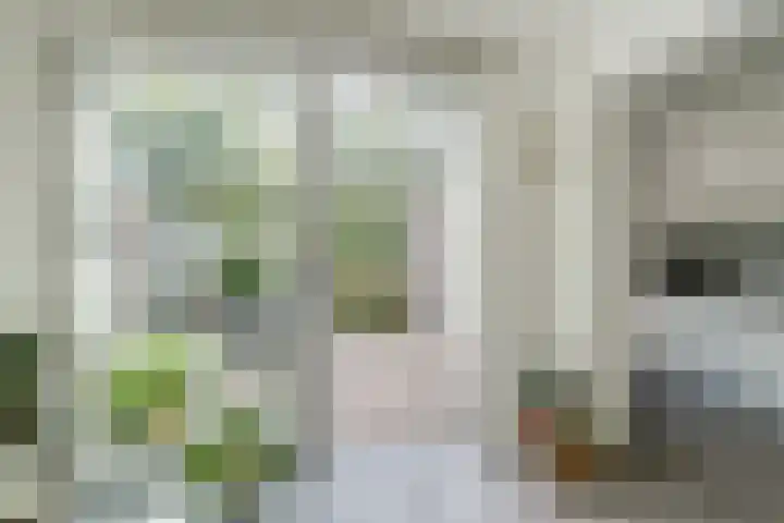 Johan Frisopark 84 Best thumbnail 11