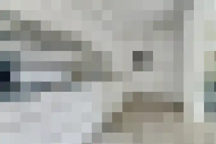 Johan Frisopark 84 Best thumbnail 13