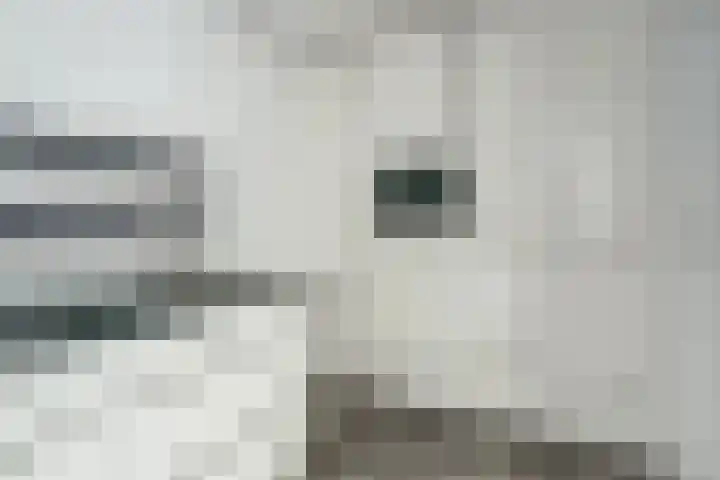 Johan Frisopark 84 Best thumbnail 14
