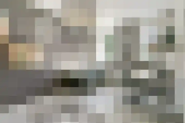 Johan Frisopark 84 Best thumbnail 22