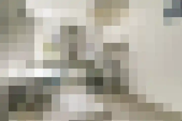Johan Frisopark 84 Best thumbnail 23