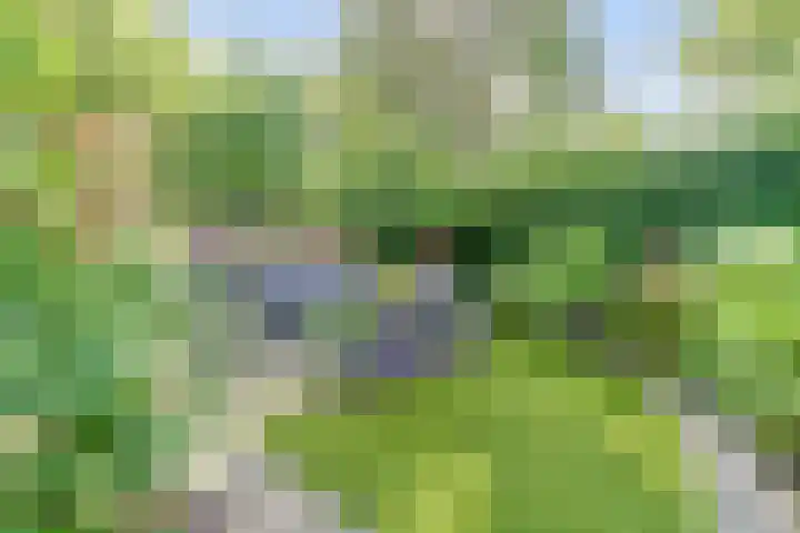 Johan Frisopark 84 Best thumbnail 31