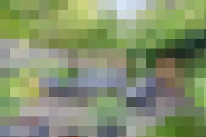 Johan Frisopark 84 Best thumbnail 32