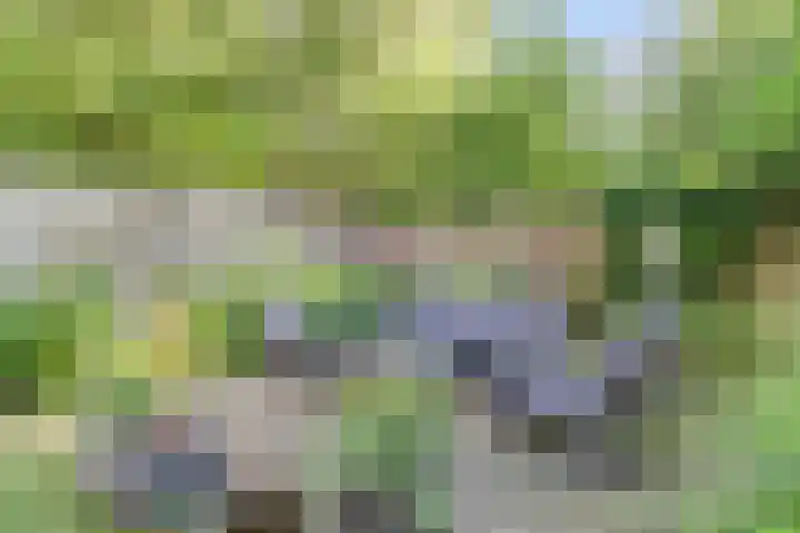 Johan Frisopark 84 Best thumbnail 33