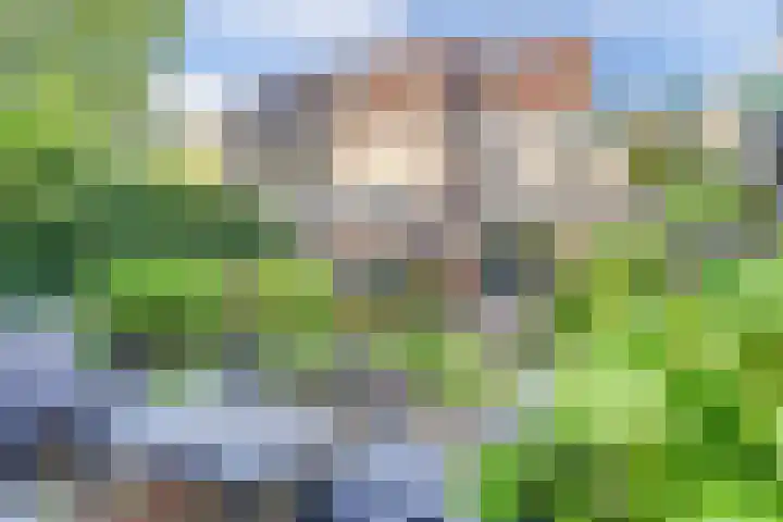 Johan Frisopark 84 Best thumbnail 34