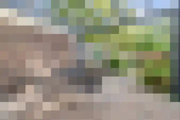 Johan Frisopark 84 Best thumbnail 35