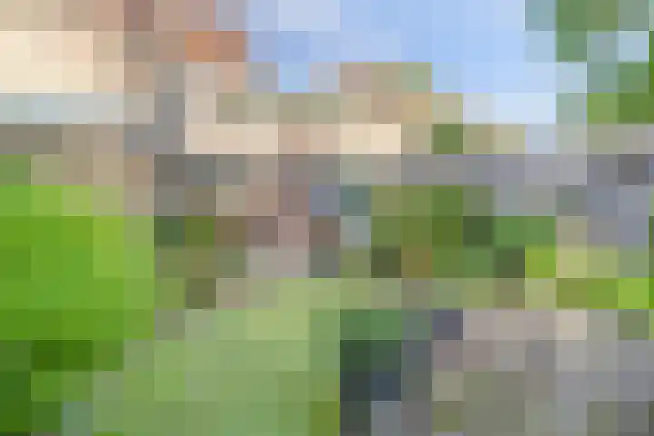 Johan Frisopark 84 Best thumbnail 36