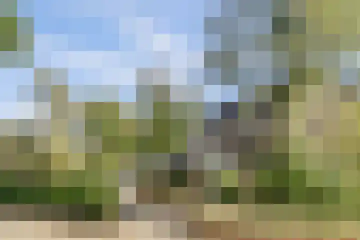 Johan Frisopark 84 Best thumbnail 38