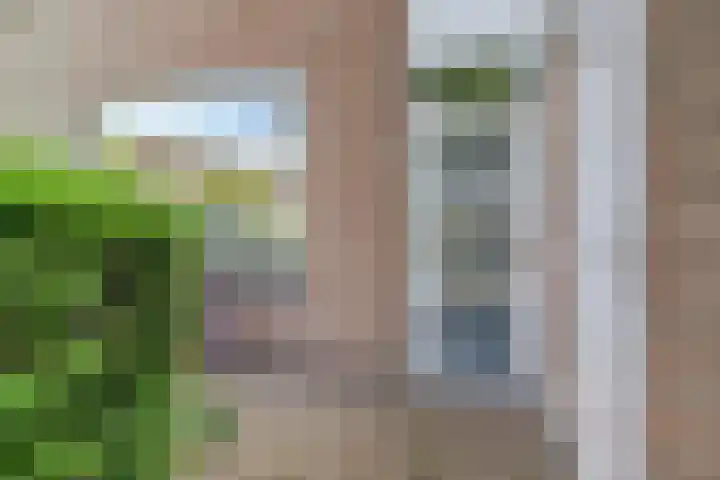 Johan Frisopark 84 Best thumbnail 39