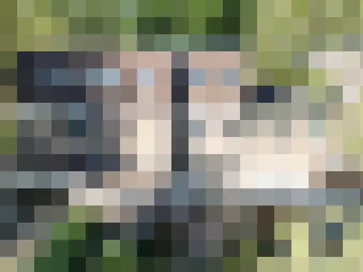 Johan Frisopark 84 Best thumbnail 41