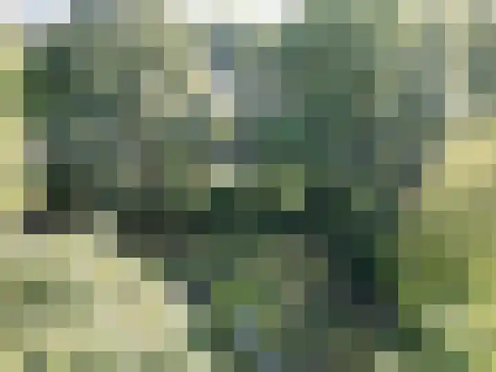 Johan Frisopark 84 Best thumbnail 42