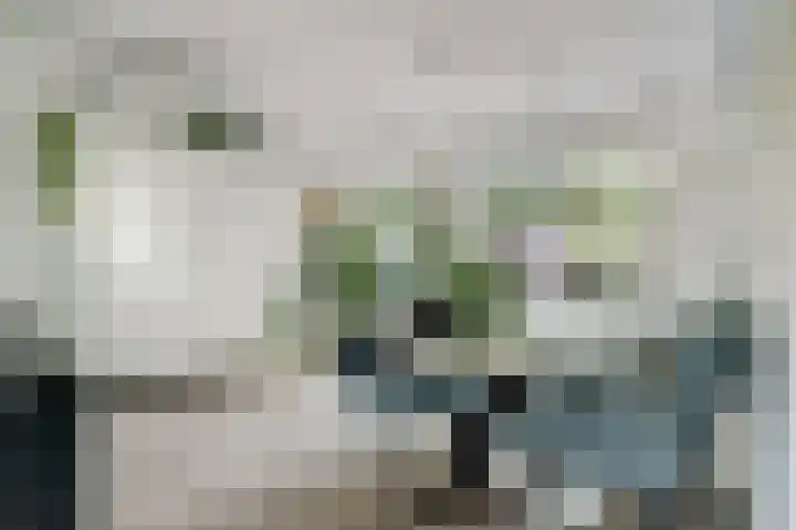 Johan Frisopark 84 Best thumbnail 9