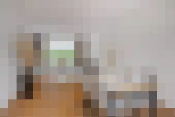 Johan Frisopark 93 Best thumbnail 18