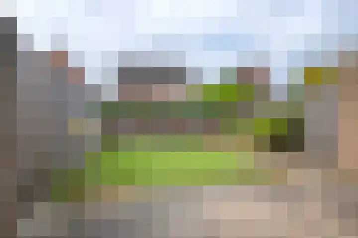 Johan Frisopark 93 Best thumbnail 42
