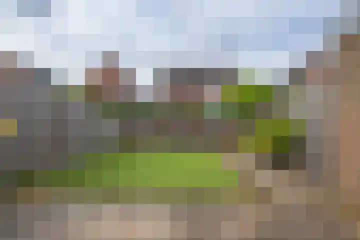 Johan Frisopark 93 Best thumbnail 43