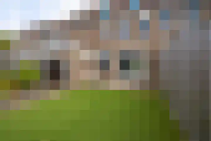 Johan Frisopark 93 Best thumbnail 45