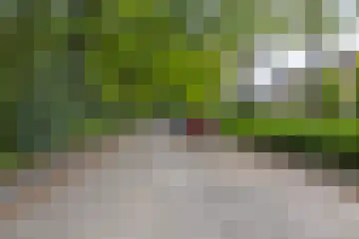 Johan Frisopark 93 Best thumbnail 47