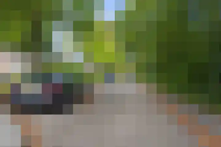 Johan Frisopark 93 Best thumbnail 48