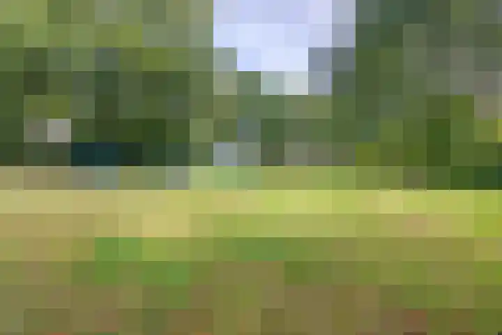 Johan Frisopark 93 Best thumbnail 49