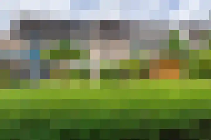 Johan Frisopark 93 Best thumbnail 7