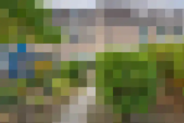 Johan Frisopark 93 Best thumbnail 8