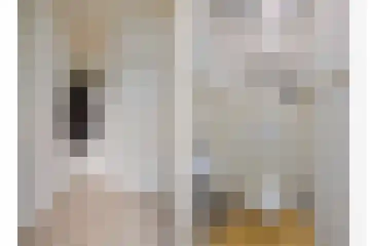 Johan Frisopark 93 Best thumbnail 9