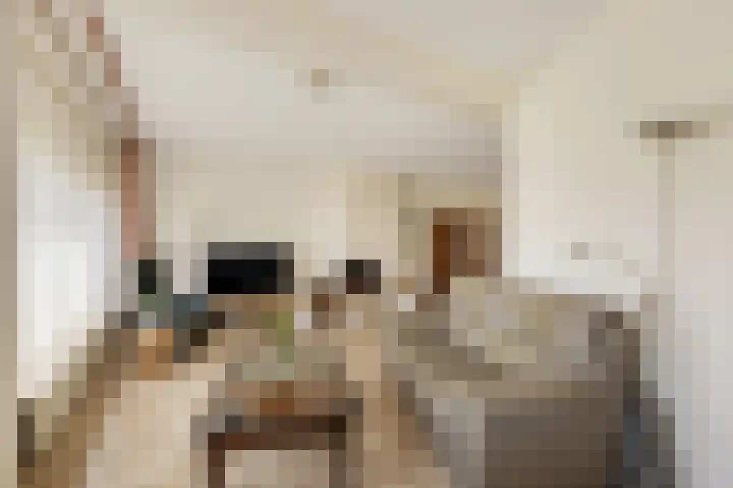 Johan Frisostraat 10 Veldhoven thumbnail 12