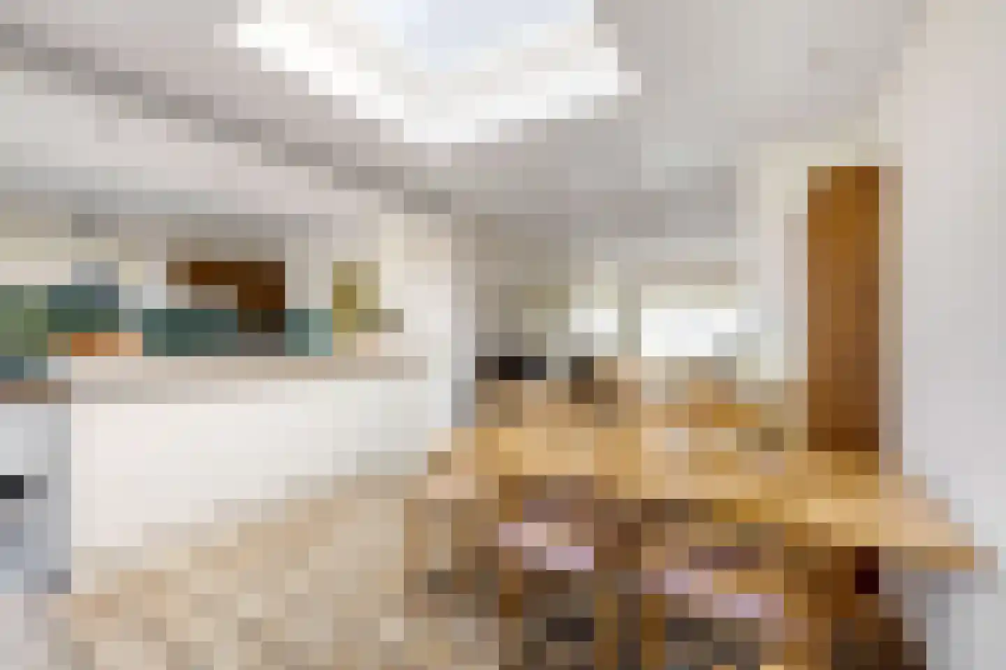 Johan Frisostraat 10 Veldhoven thumbnail 16