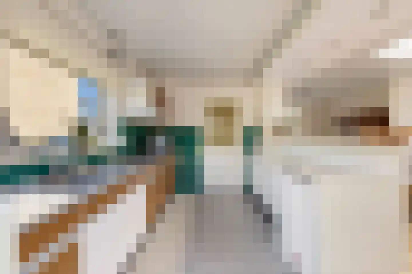 Johan Frisostraat 10 Veldhoven thumbnail 19