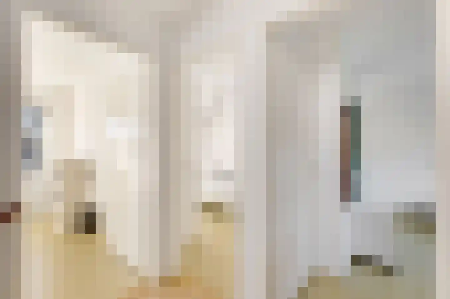 Johan Frisostraat 10 Veldhoven thumbnail 21