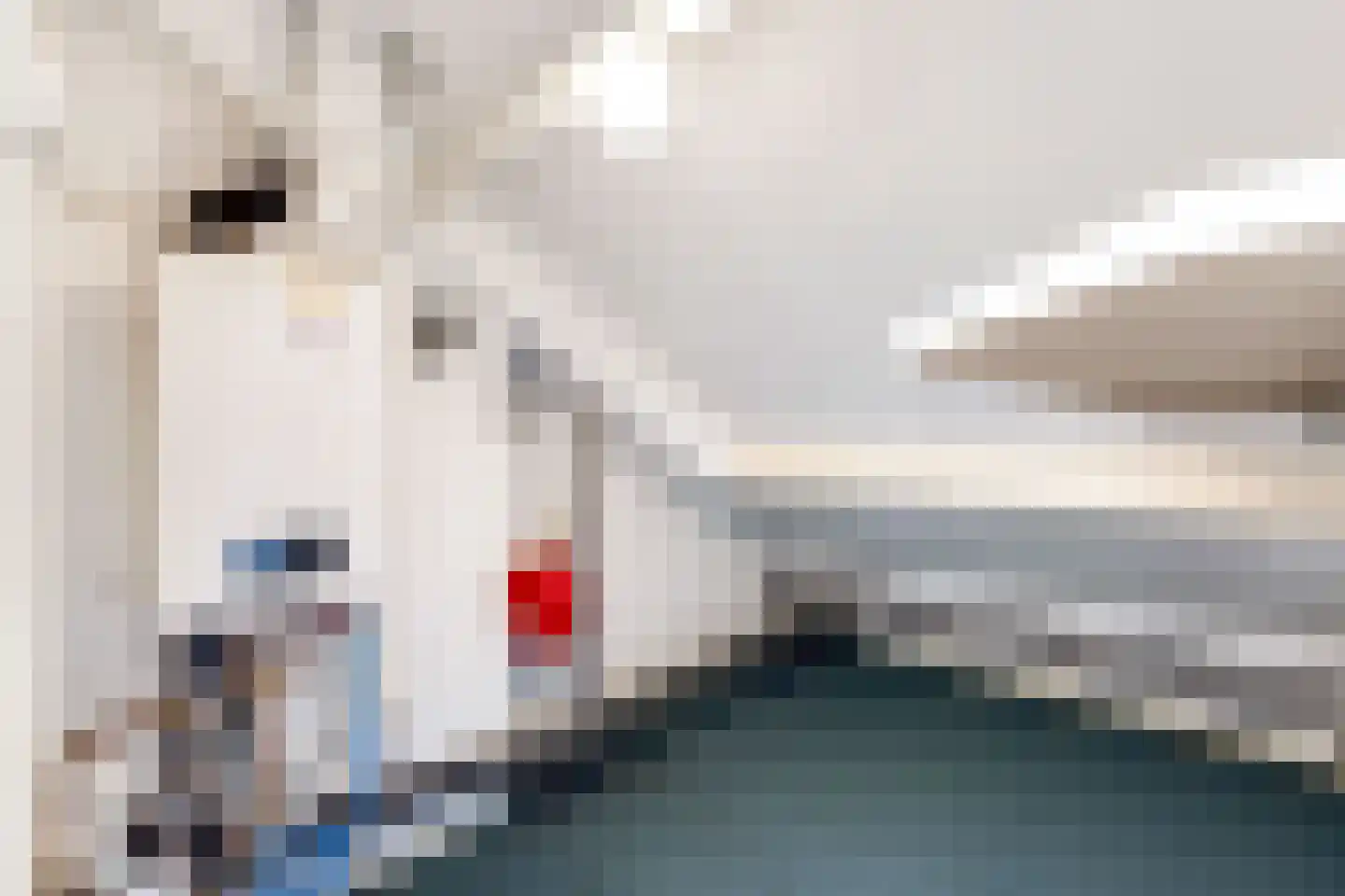 Johan Frisostraat 10 Veldhoven thumbnail 35