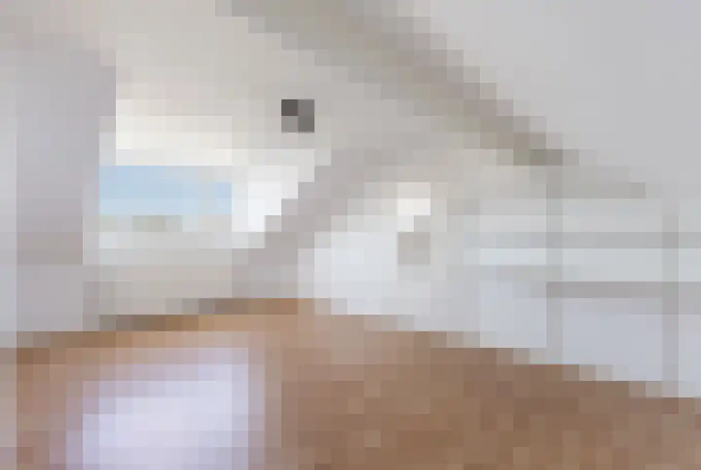 Johan Frisostraat 10 Veldhoven thumbnail 37