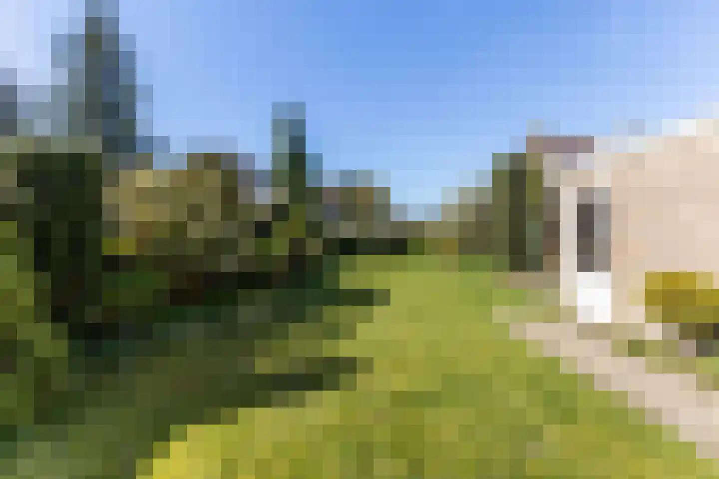 Johan Frisostraat 10 Veldhoven thumbnail 42