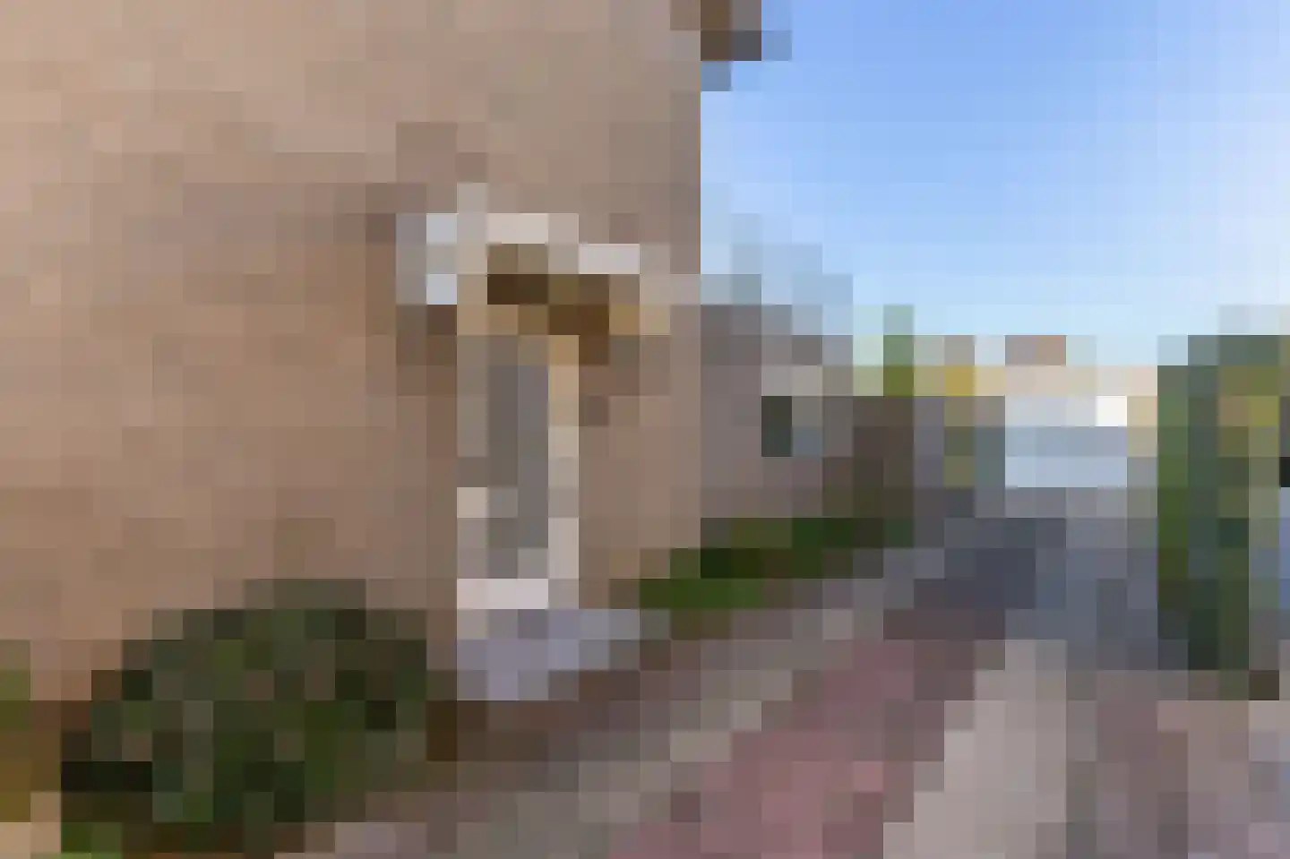 Johan Frisostraat 10 Veldhoven thumbnail 5