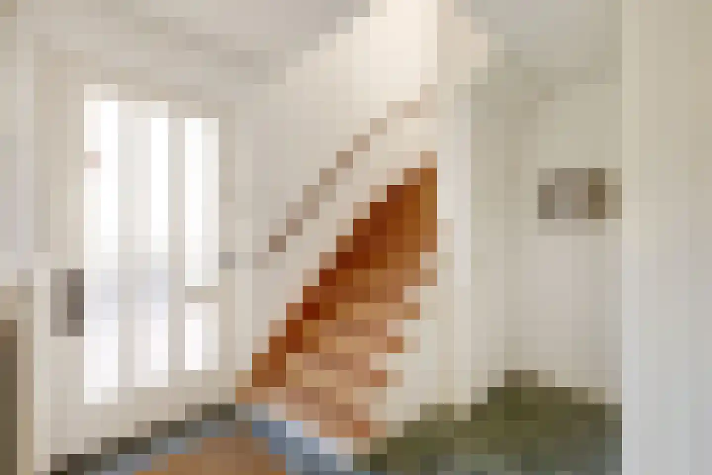 Johan Frisostraat 10 Veldhoven thumbnail 7