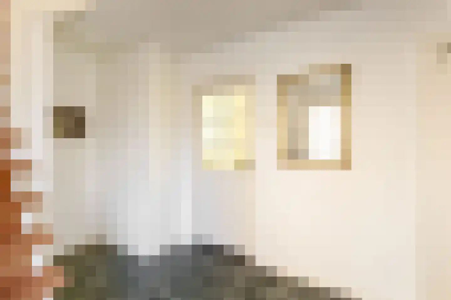 Johan Frisostraat 10 Veldhoven thumbnail 8