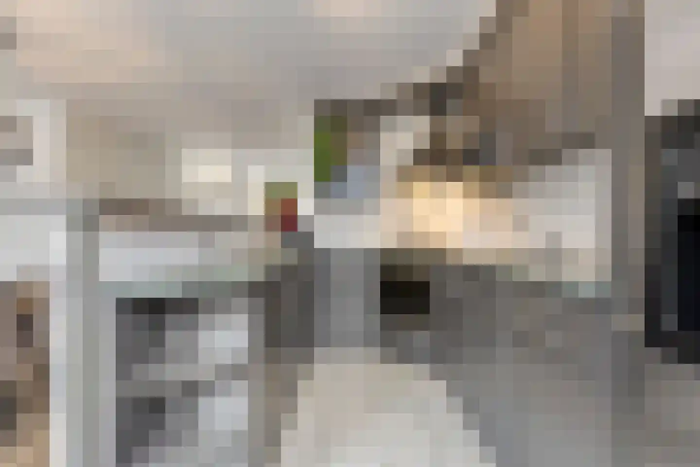 Johan Frisostraat 12 Sint-Oedenrode thumbnail 14