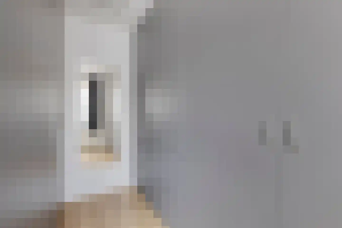 Johan Frisostraat 12 Sint-Oedenrode thumbnail 20