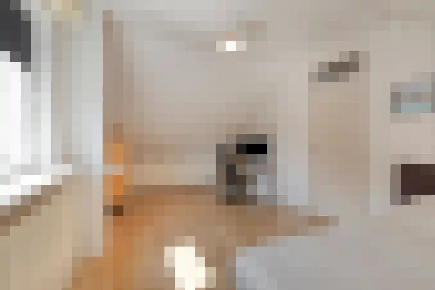 Johan Frisostraat 12 Sint-Oedenrode thumbnail 31