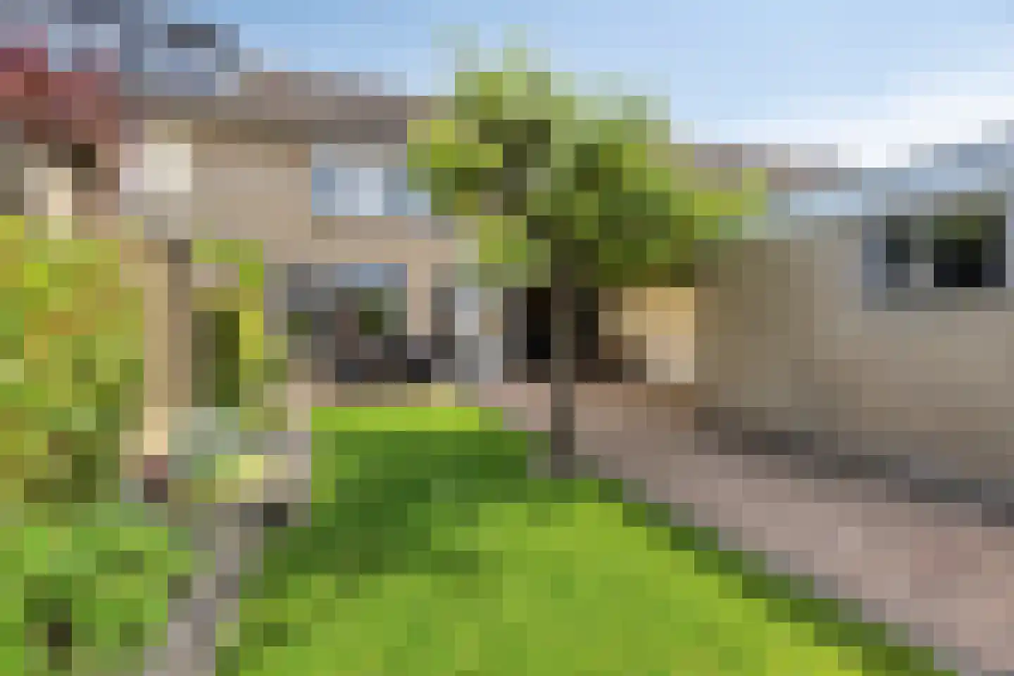 Johan Frisostraat 12 Sint-Oedenrode thumbnail 32