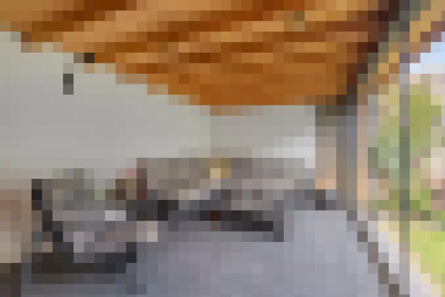 Johan Frisostraat 12 Sint-Oedenrode thumbnail 33
