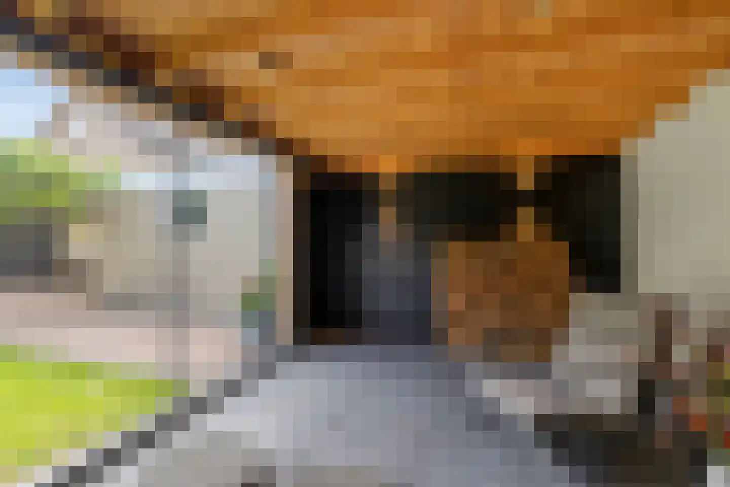 Johan Frisostraat 12 Sint-Oedenrode thumbnail 34
