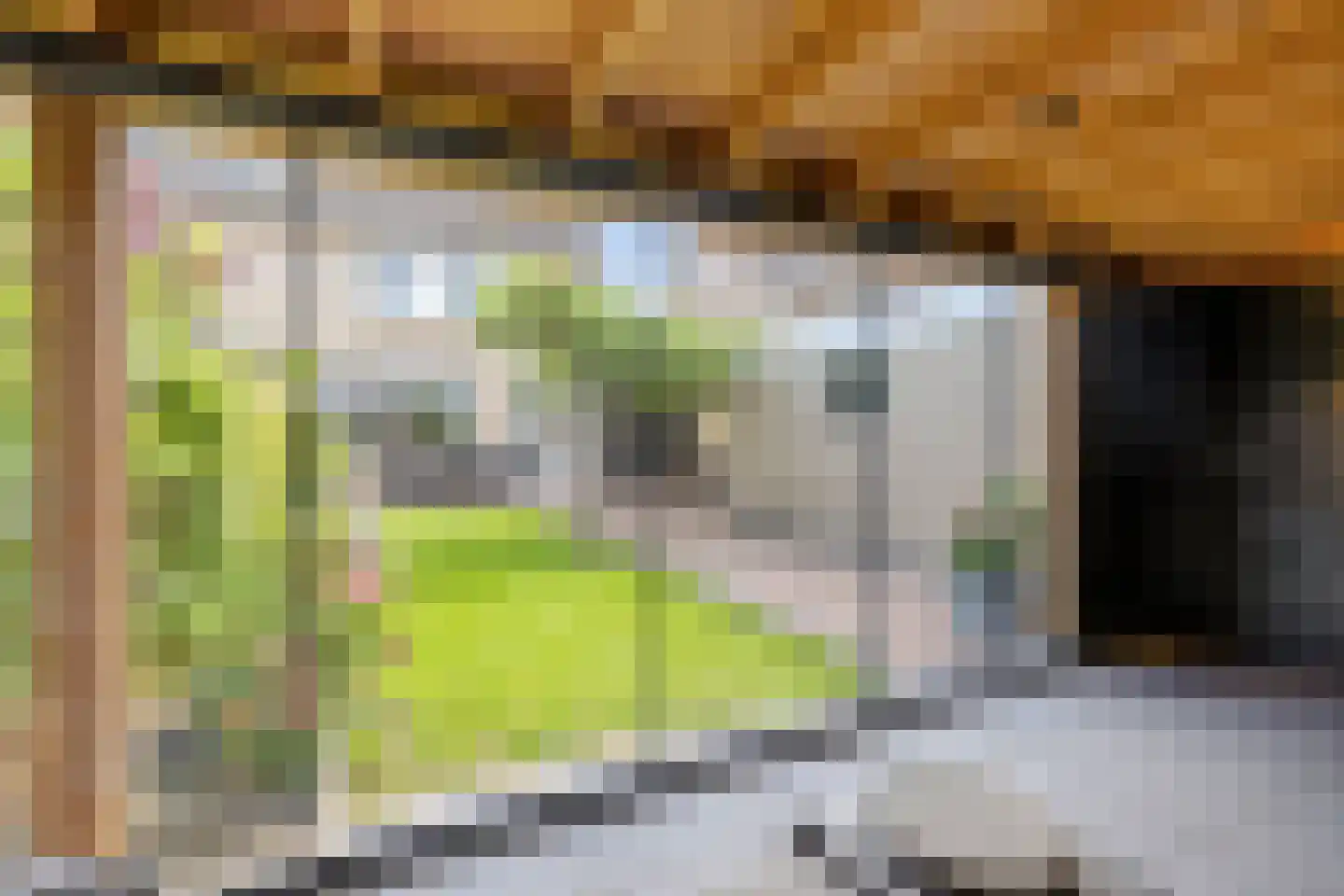 Johan Frisostraat 12 Sint-Oedenrode thumbnail 35