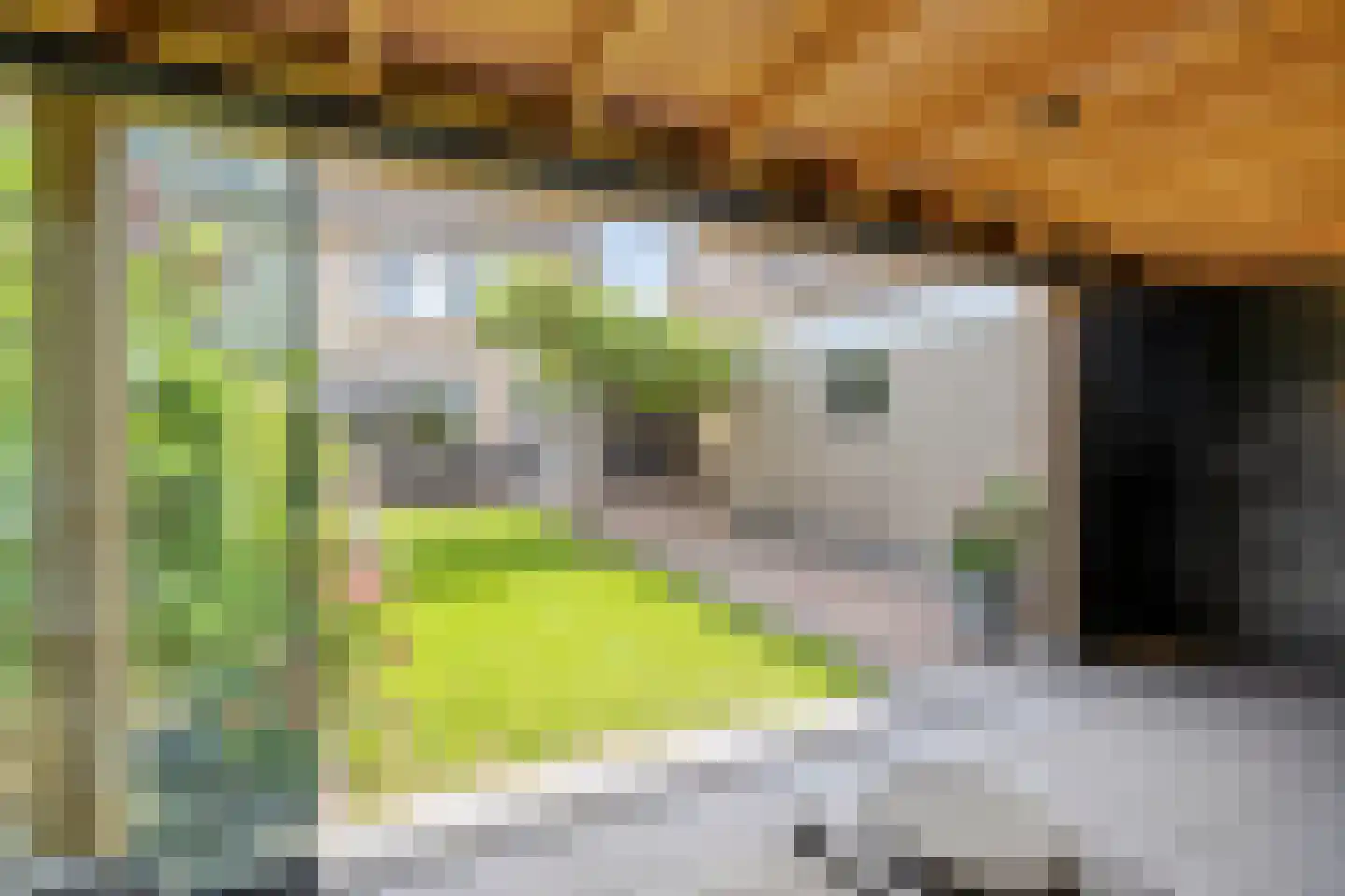Johan Frisostraat 12 Sint-Oedenrode thumbnail 36