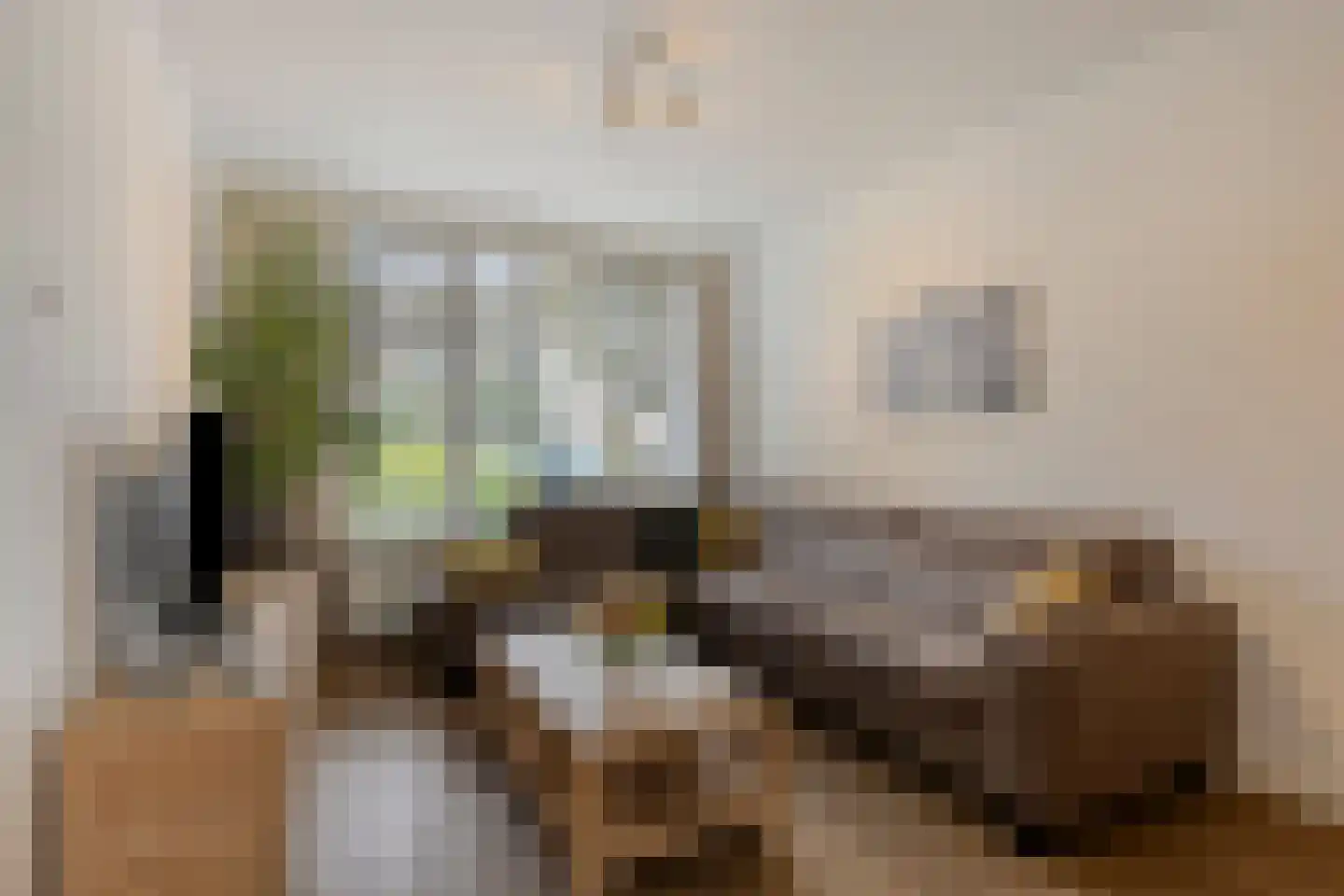 Johan Frisostraat 12 Sint-Oedenrode thumbnail 8
