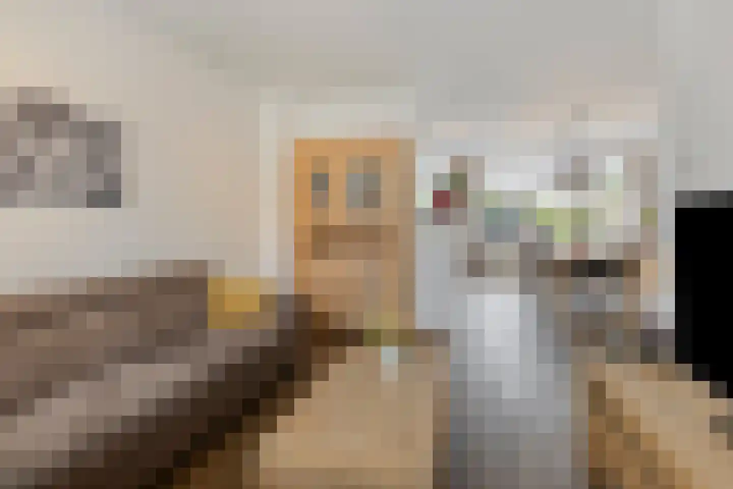 Johan Frisostraat 12 Sint-Oedenrode thumbnail 9