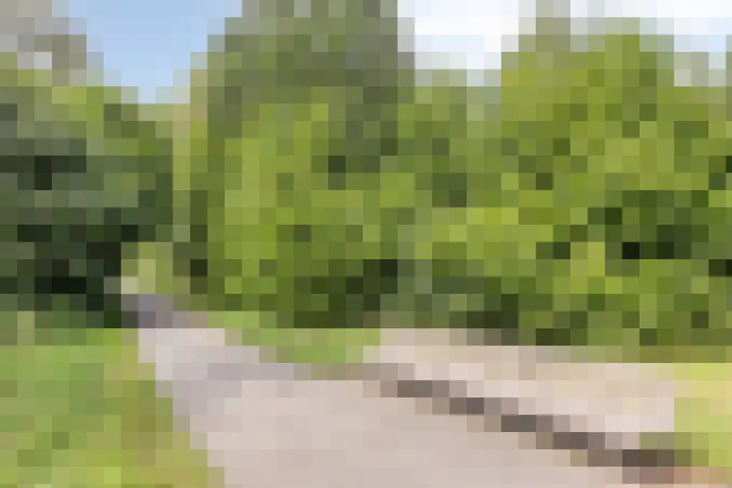 Johan Frisostraat 15 Rosmalen thumbnail 27